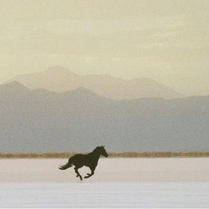 Meet your Posher, Norah